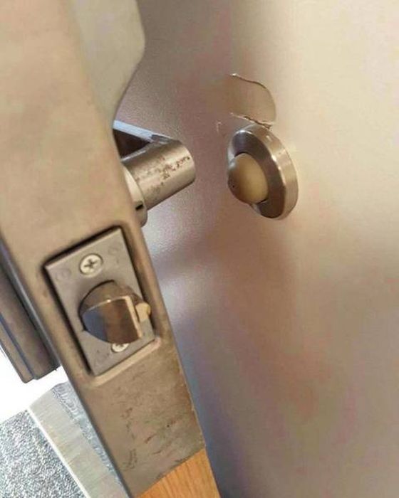 ������ ��������