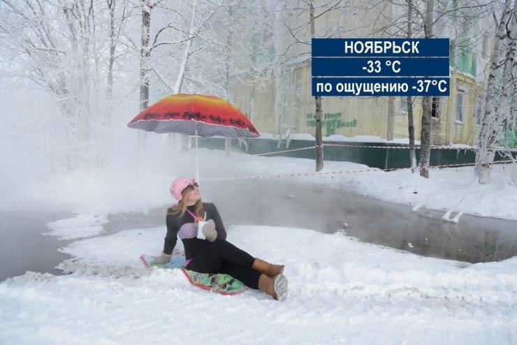 ������ ��������