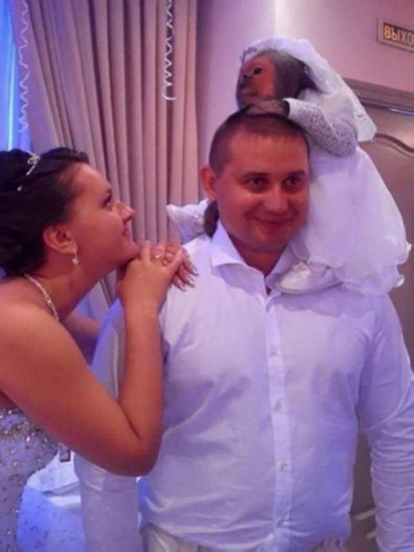 ������ ��������