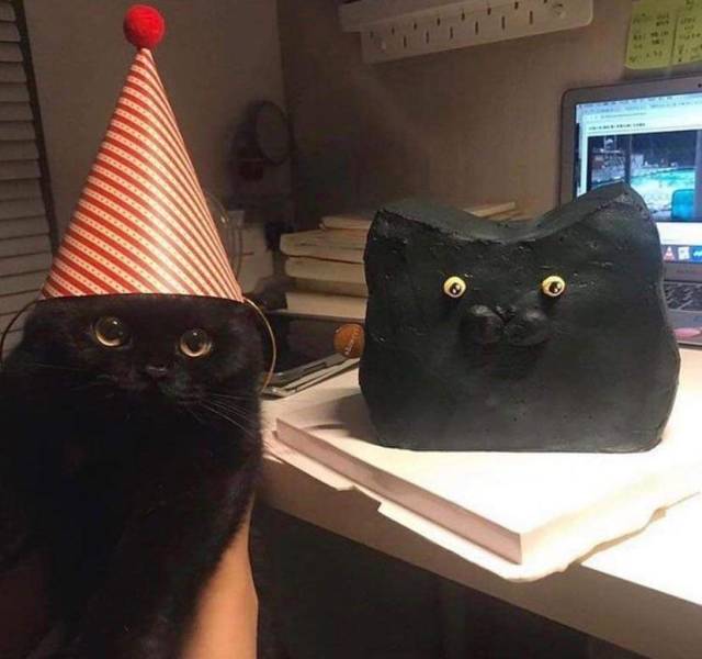 ������ ��������