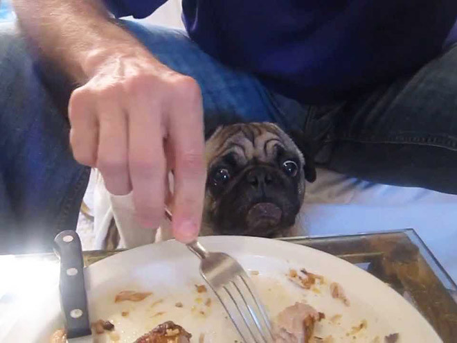 ������ ��������