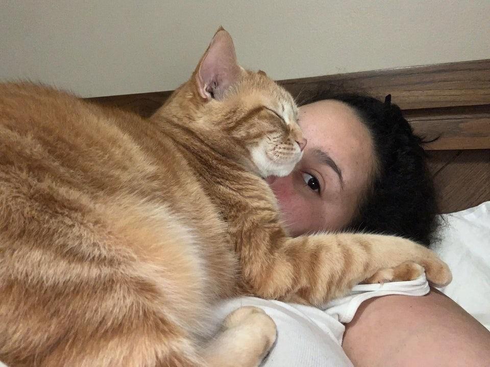 ������ ��������