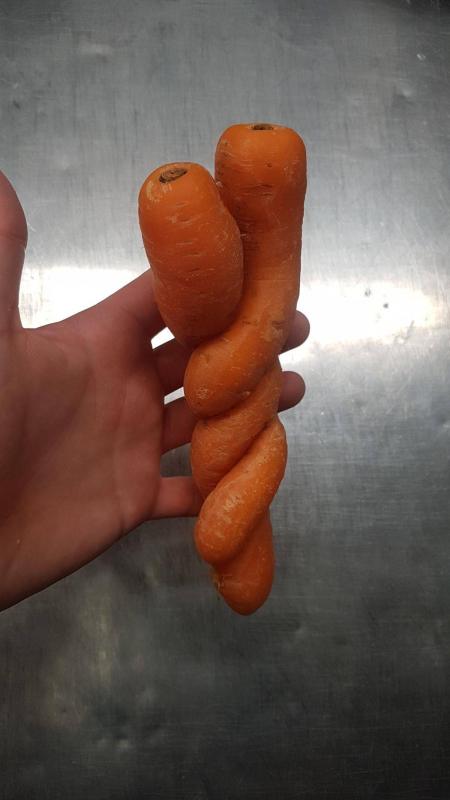 ������ ��������