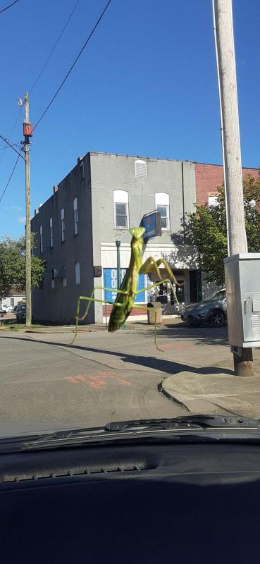 ������ ��������