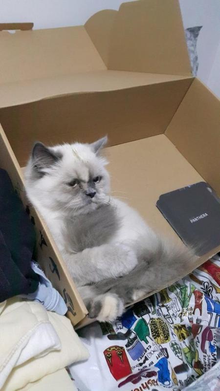 ������ ��������