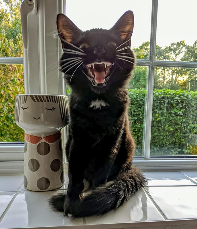 ������ ��������