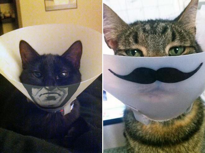 ������ ��������