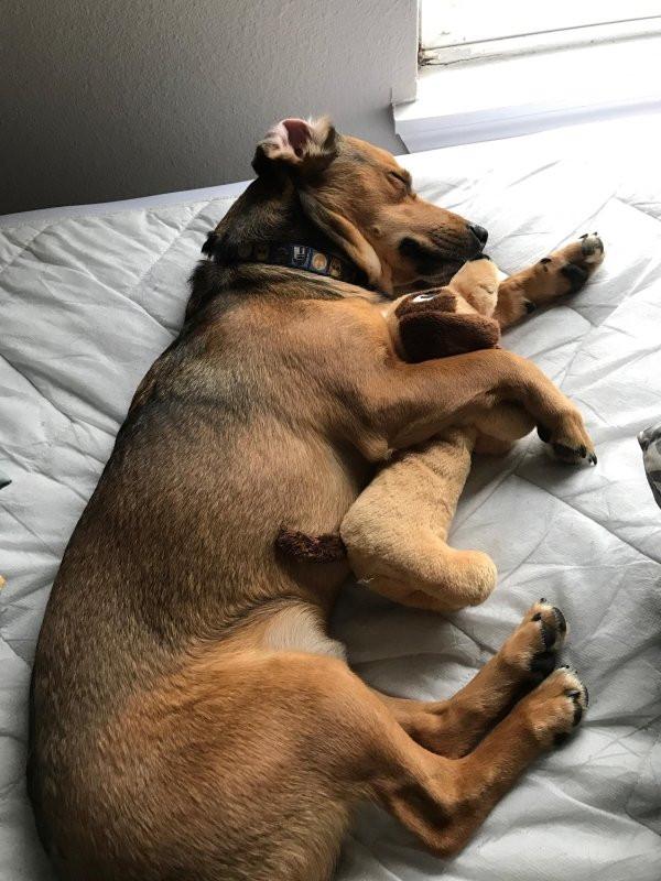 ������ ��������
