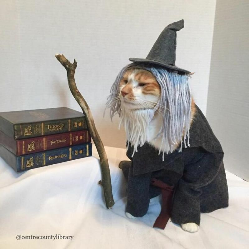 ������ ��������