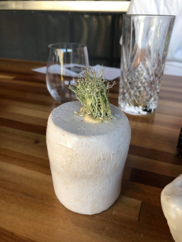 ������ ��������