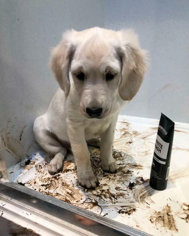 ������ ��������