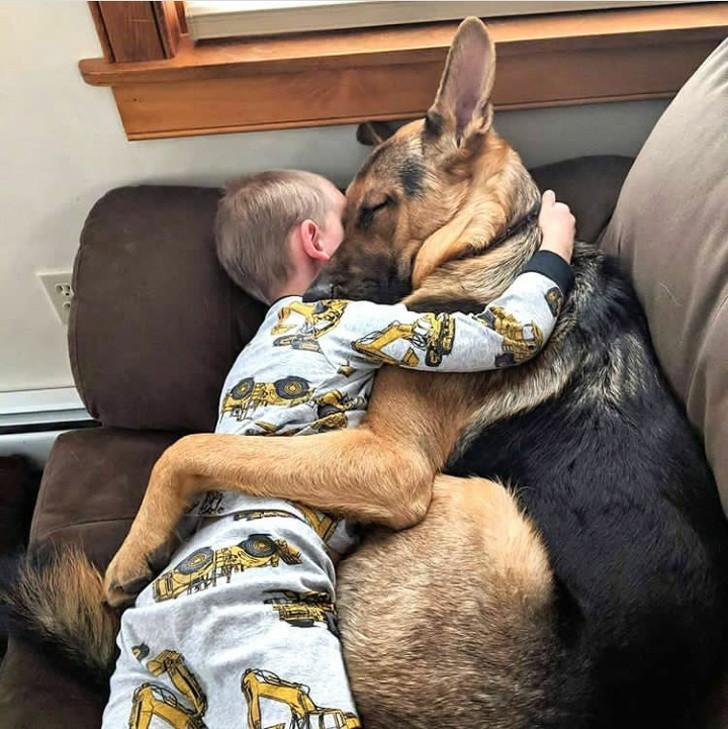 ������ ��������