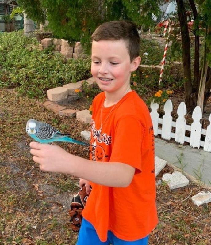 ������ ��������