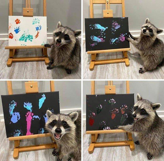 ������ ��������