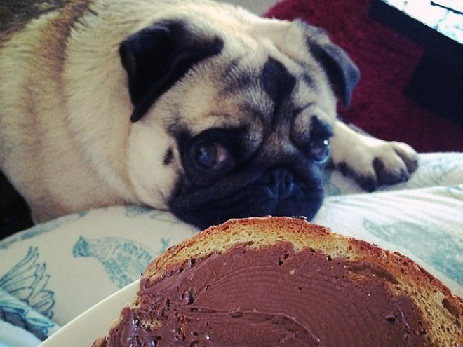 ������ ��������