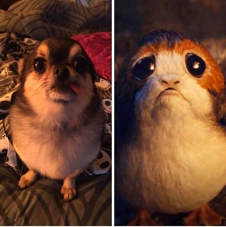 ������ ��������