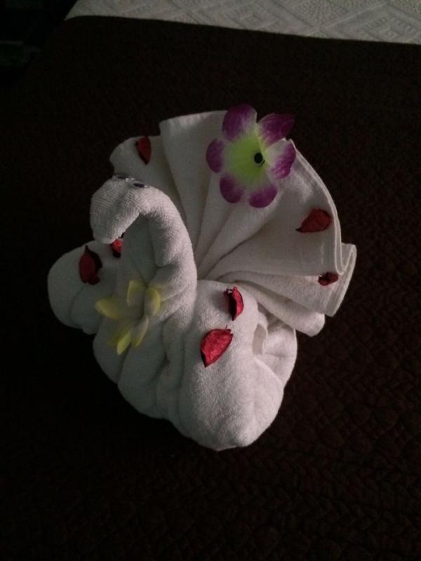 ������ ��������