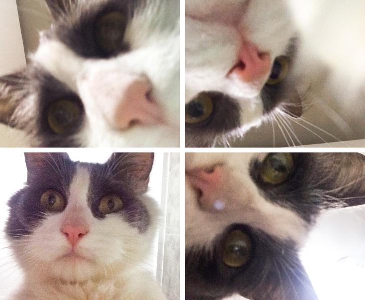 ������ ��������