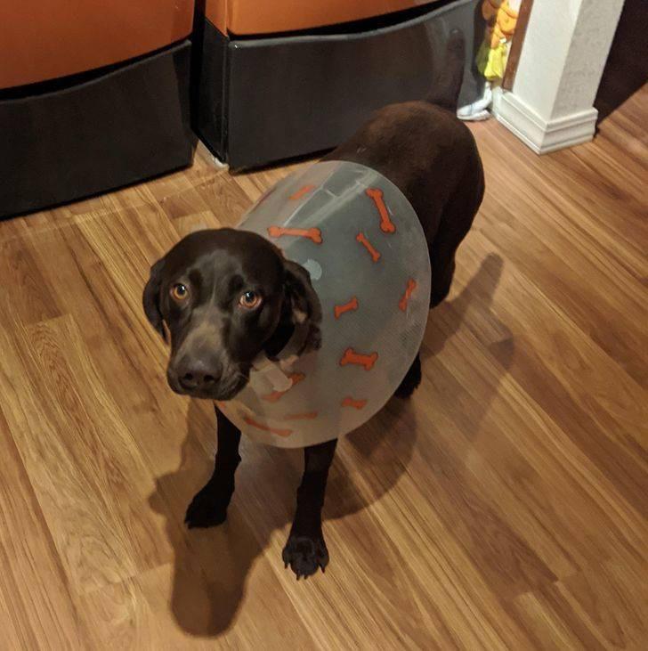 ������ ��������