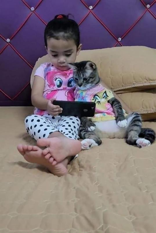 ������ ��������