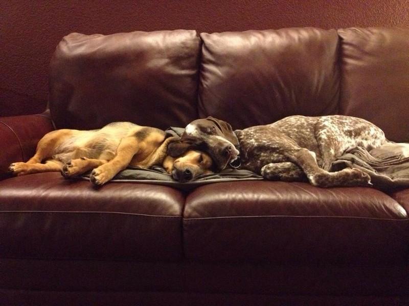 ������ ��������