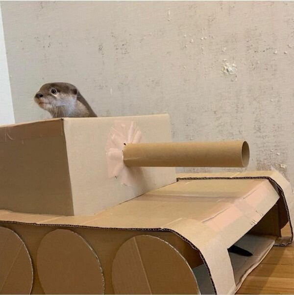 ������ ��������