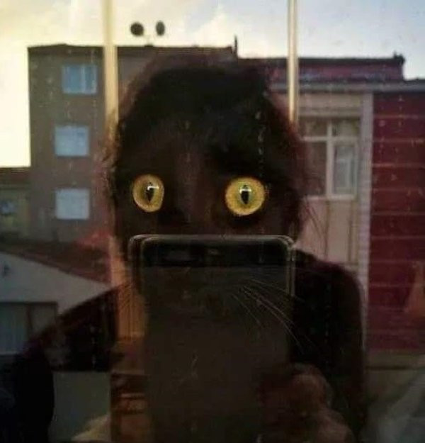 ������ ��������