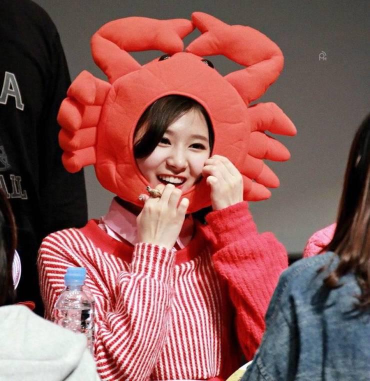 ������ ��������