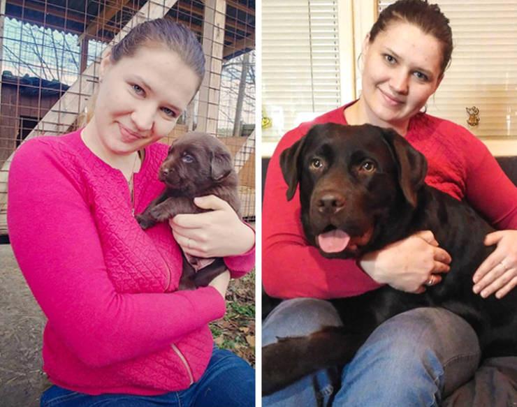 ������ ��������