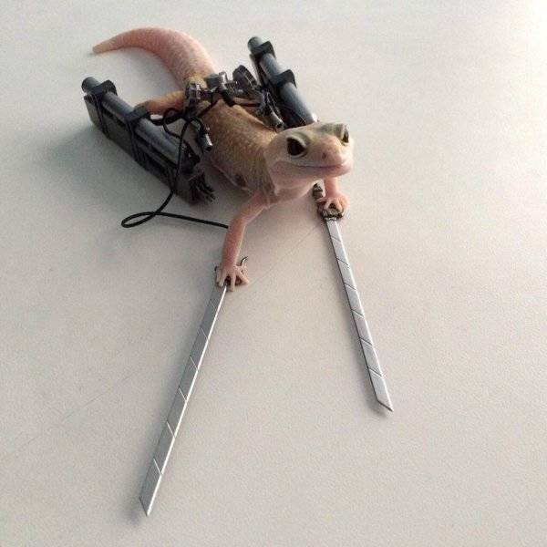 ������ ��������