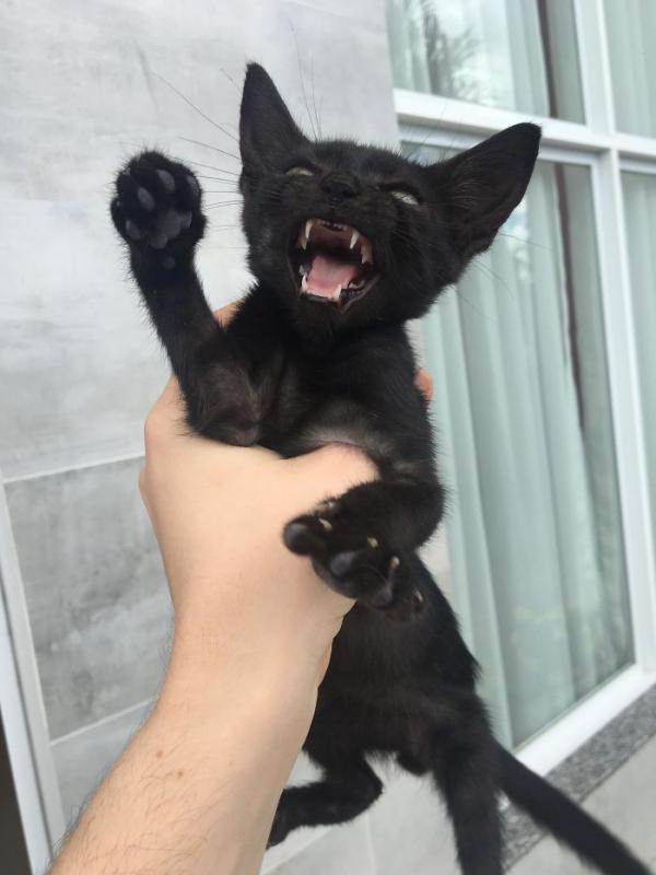 ������ ��������