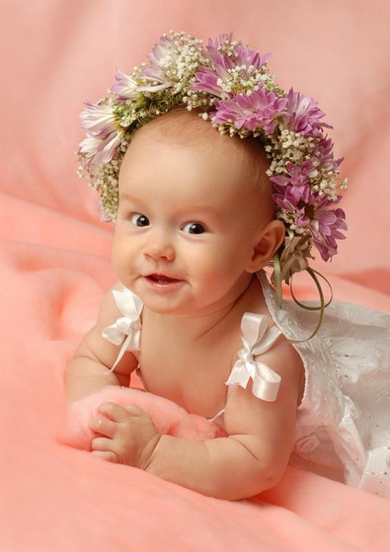 ������ ��������