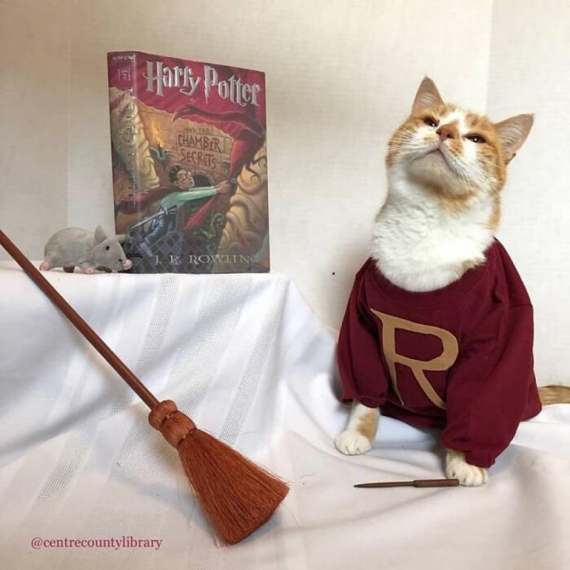 ������ ��������