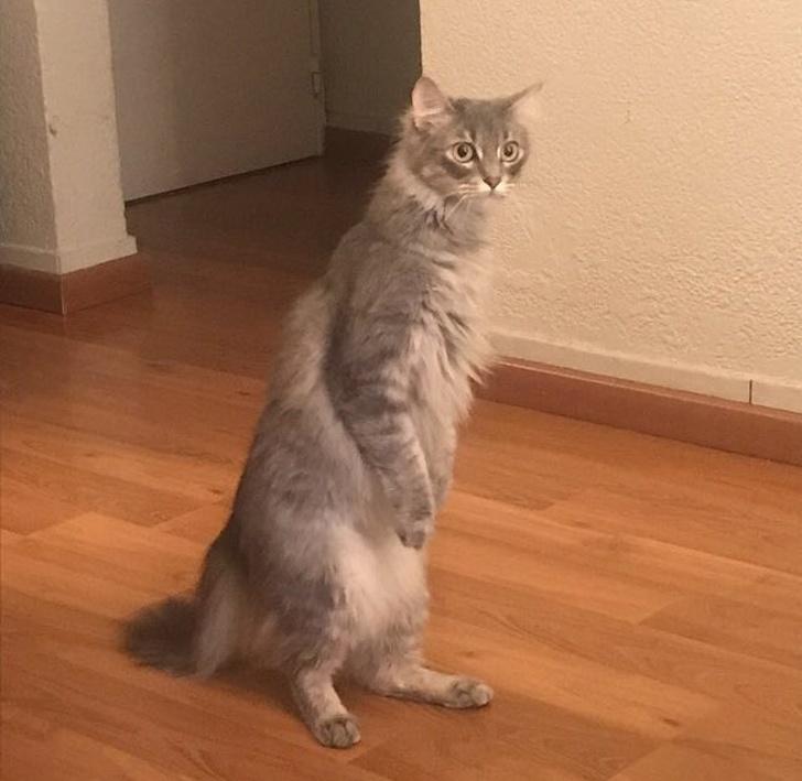 ������ ��������