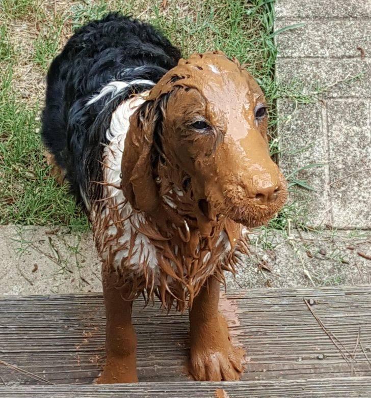 ������ ��������