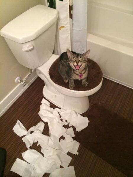 ������ ��������