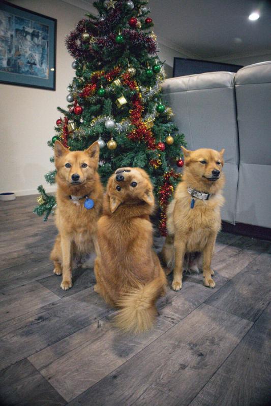 ������ ��������