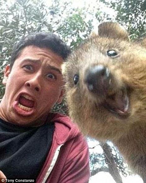 ������ ��������