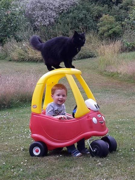 ������ ��������