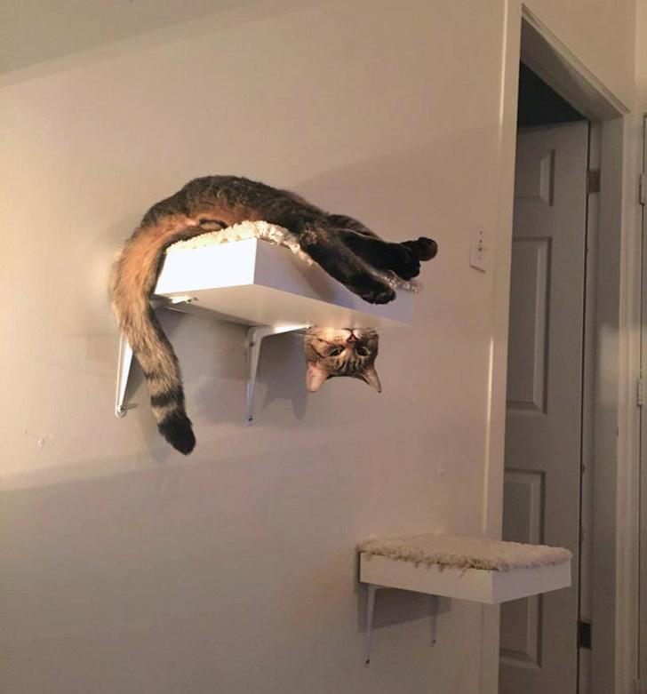 ������ ��������