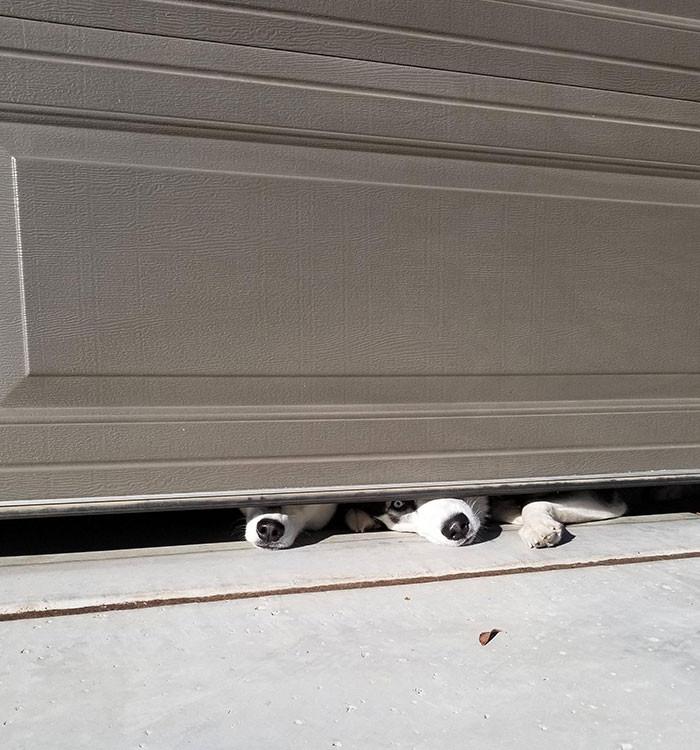 ������ ��������