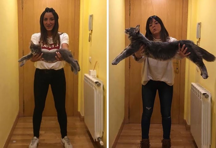 ������ ��������