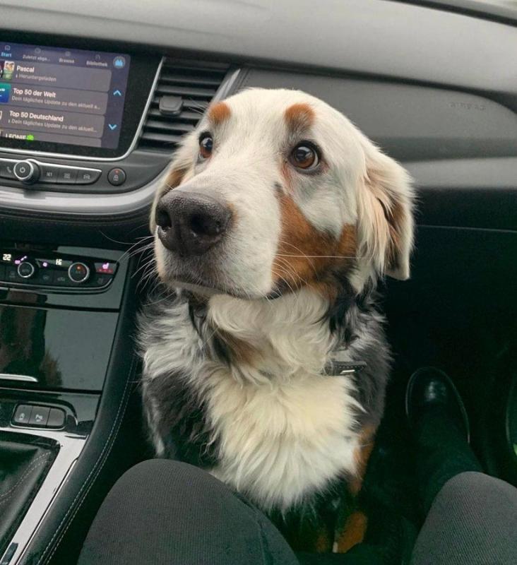 ������ ��������