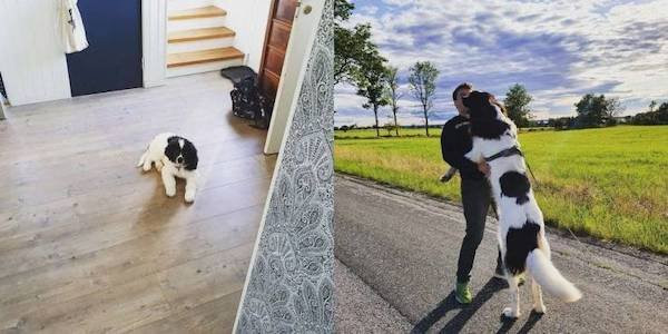 ������ ��������