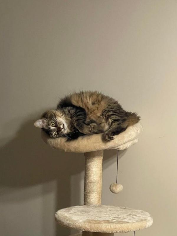 ������ ��������