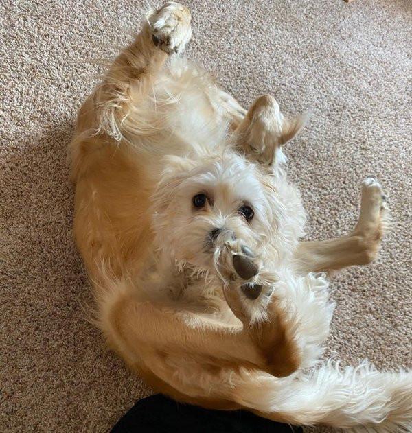 ������ ��������