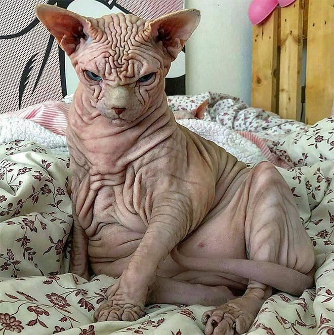 ������ ��������