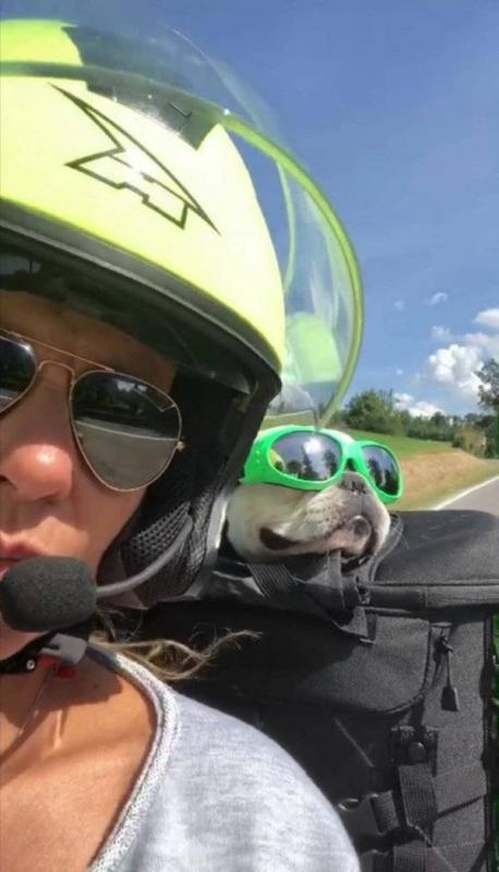 ������ ��������