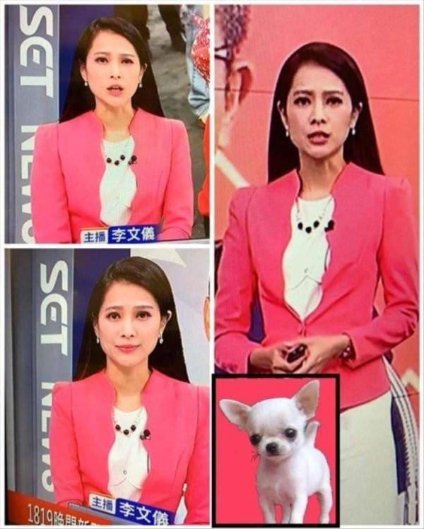 ������ ��������