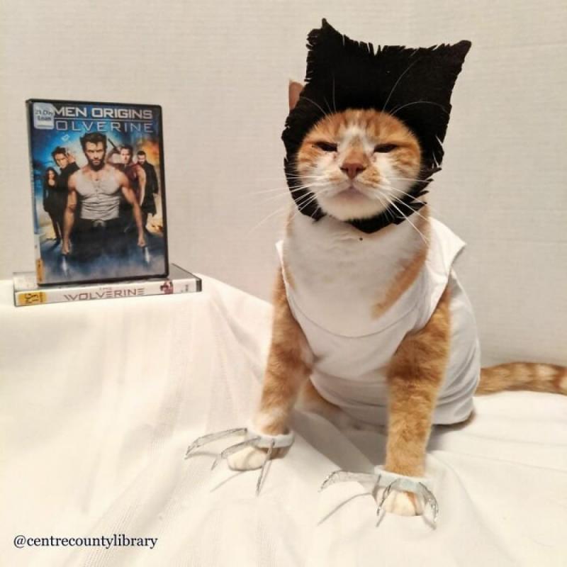 ������ ��������